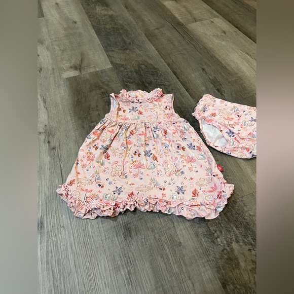 Magnetic Me Other - Magnetic me dress and matching bloomers size 9-12M